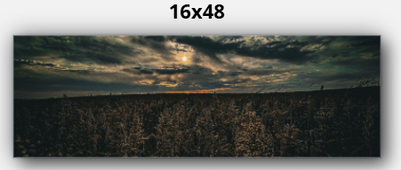 Thumbnail: Sorghum Sky