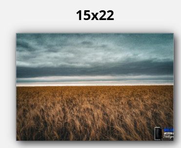 Thumbnail: Amber Waves of Grain