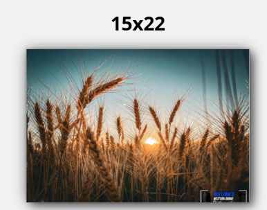 Thumbnail: Amber Waves of Grain II
