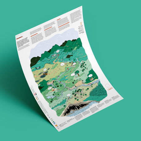 illustration utilisée sur support print et digital