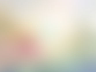 １月１９日（火）