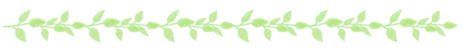 緑の葉