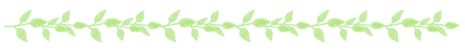 緑の葉