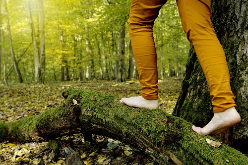 Person in orange pants walks barefoot on a mossy log in a sunlit forest. Bright green and yellow leaves enhance the serene mood.
