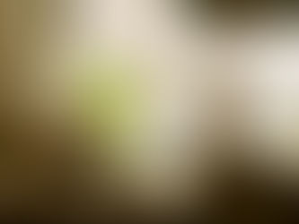 03: Amor y Permanencia.