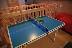 Mini table tennis  log cabin Lapland