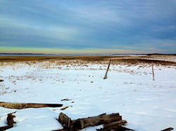 IMG_6531.jpg