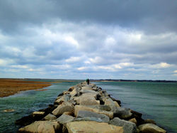 IMG_8017.JPG