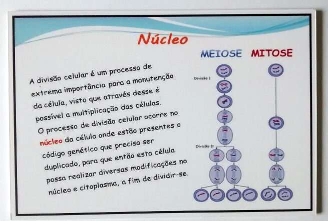 Carta do Jogo da Biologia Celular