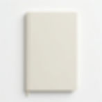 Professional Ruled Notebook