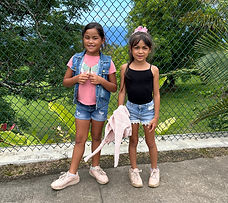 keiki chainlink fence_edited.jpg