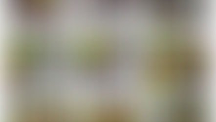 Day 3 of Active Week in Rang 2