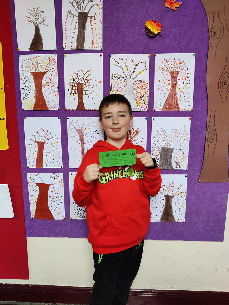 Green Card in Rang 2