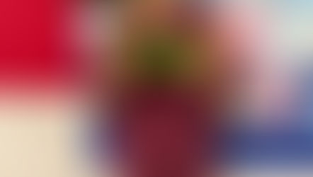 Green Card in Rang 2