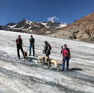 Gletscherquerung mit Hunden, Pitztaler Gletscher