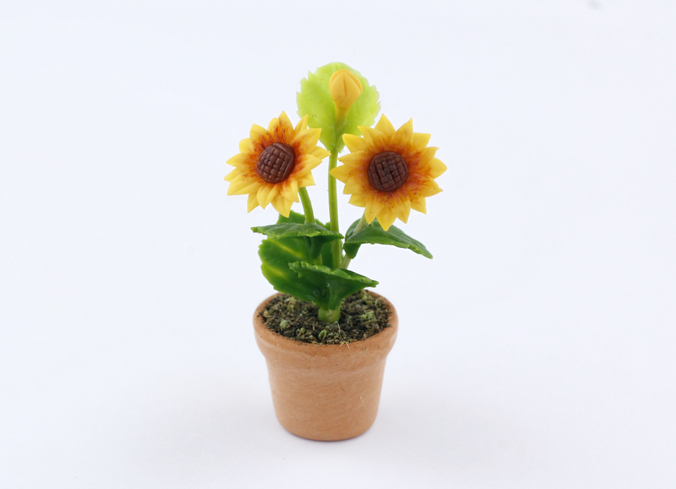 Yellow Sunflowers in Pot