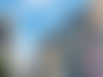 Optimiser sa fiscalité en immobilier - Monte au capital #2