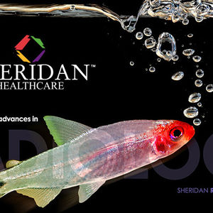 Sheridan Healthcare