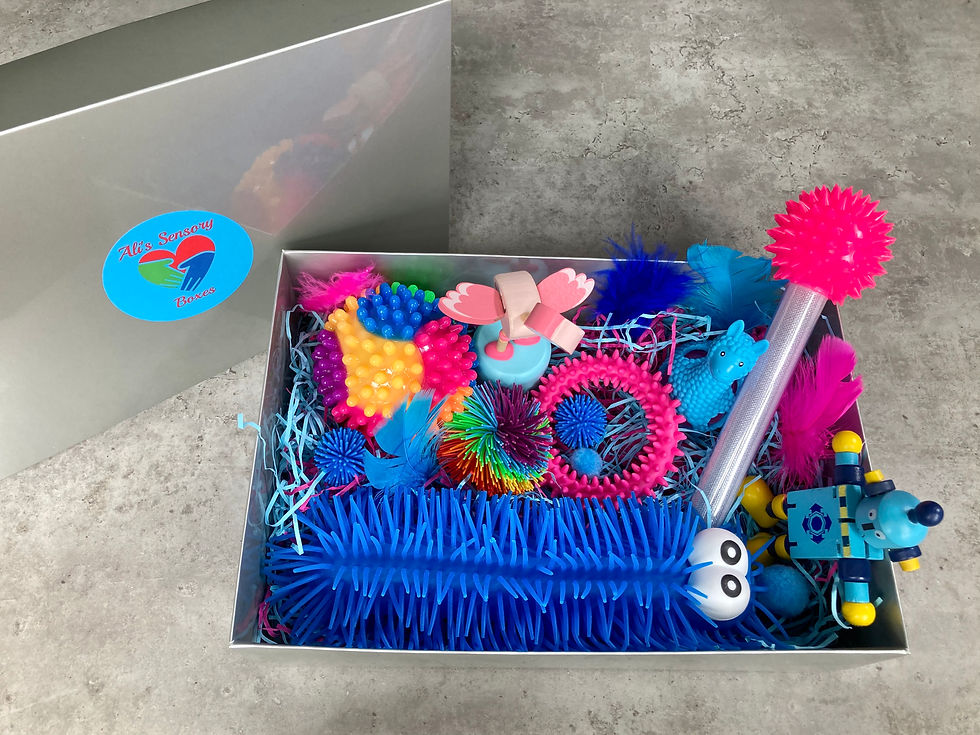 Hearing Impaired Large Sensory Box