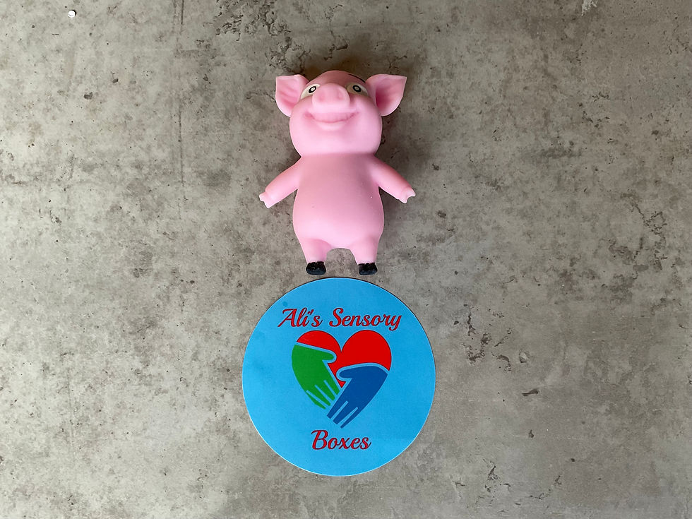 Thumbnail: Stretch n Smash Mini Animal