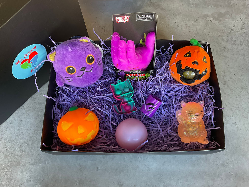 Large Halloween Themed Sensory Box