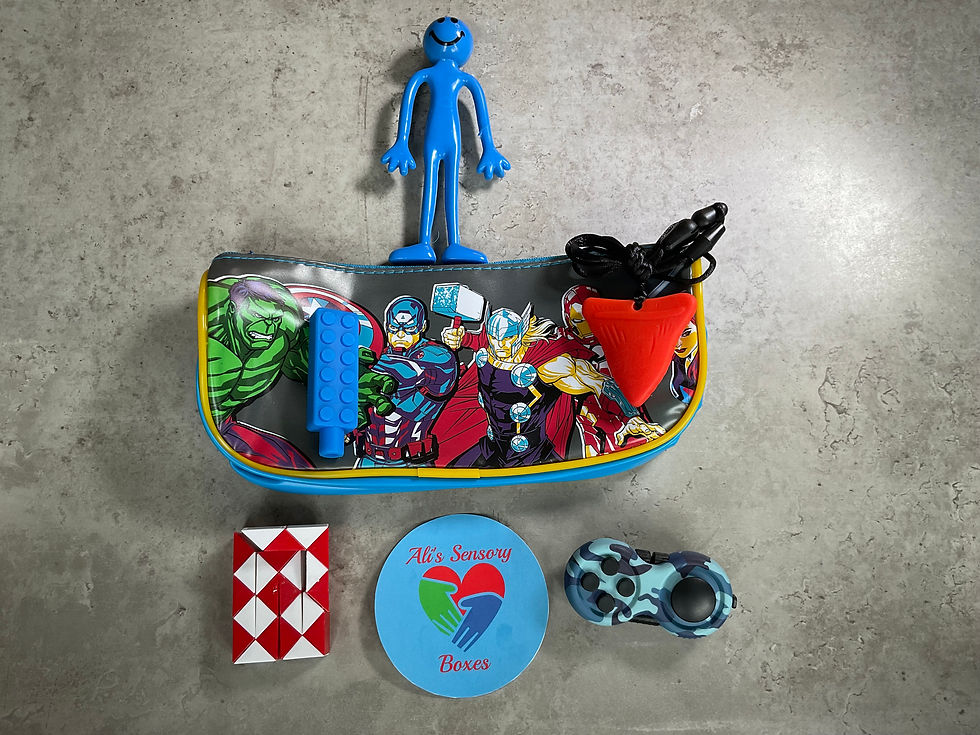Avengers Sensory Pencil Case