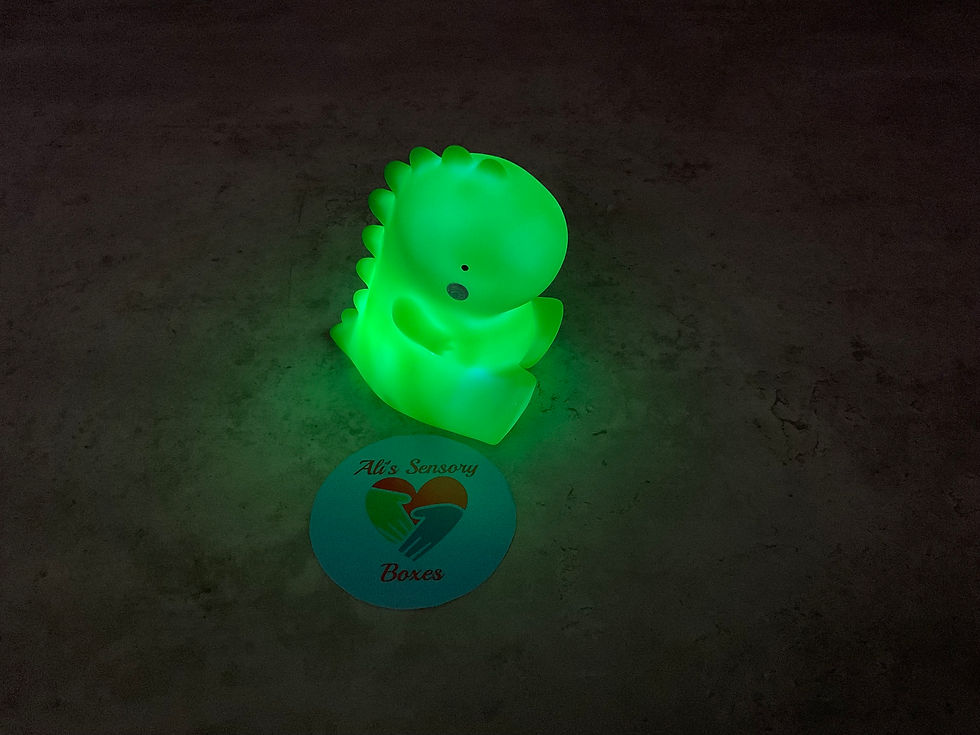 Dinosaur Sensory Night Light