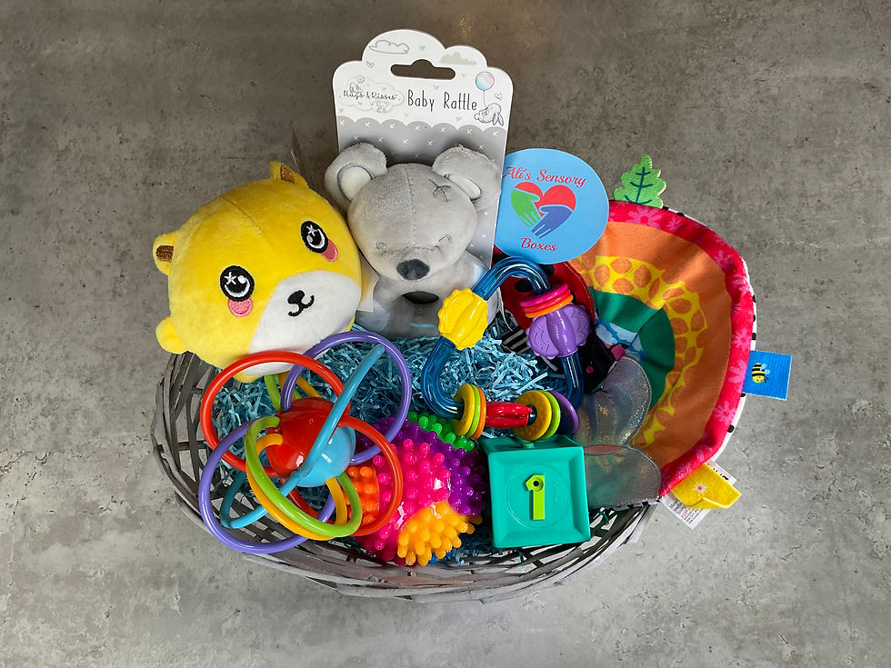 Baby Box / Basket