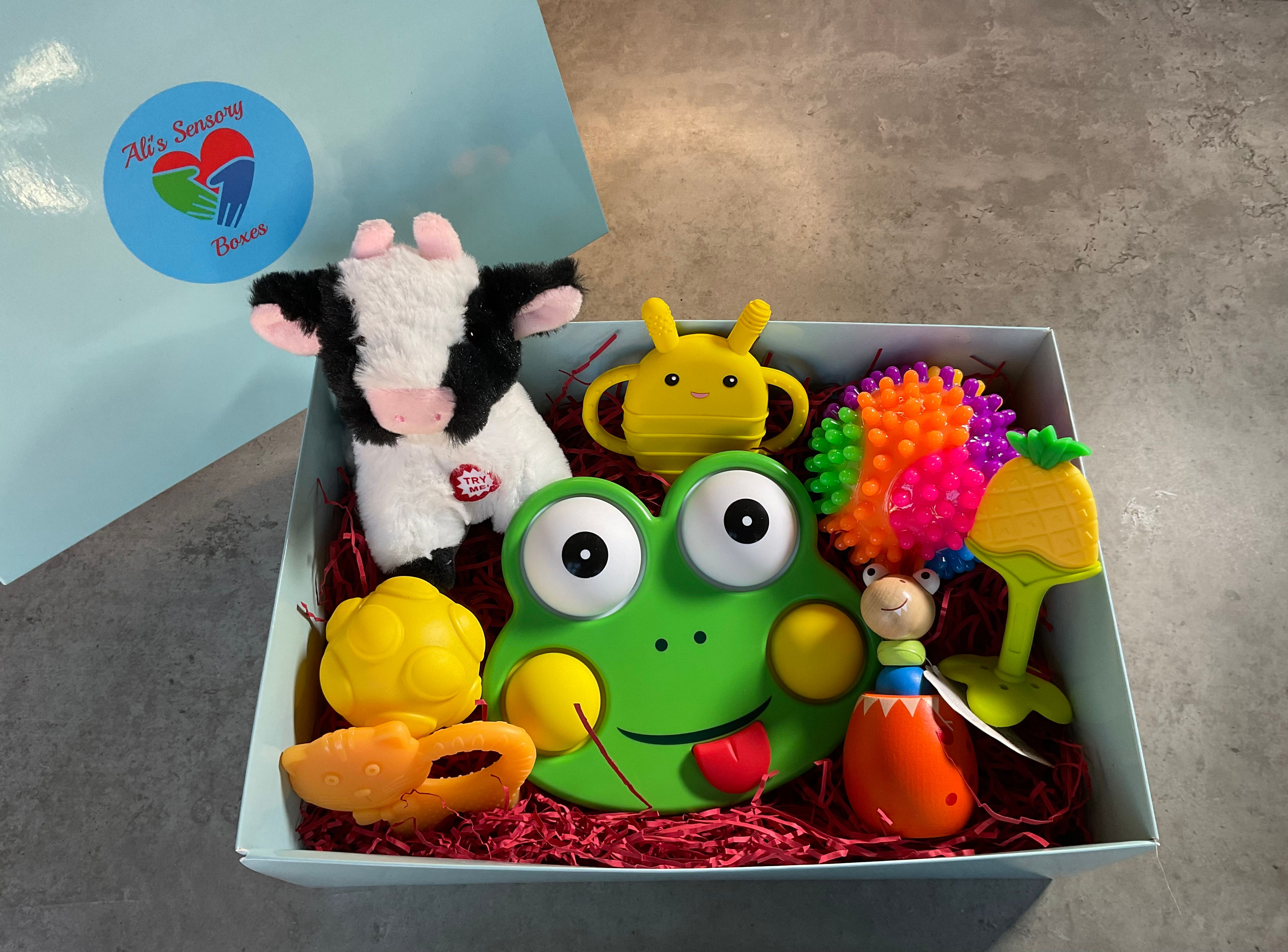 6-18 Months Sensory Box