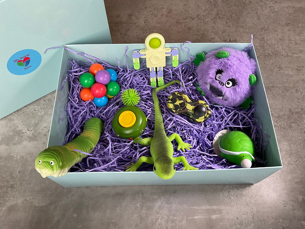 Thumbnail: Adult/Teenager Large Sensory Box