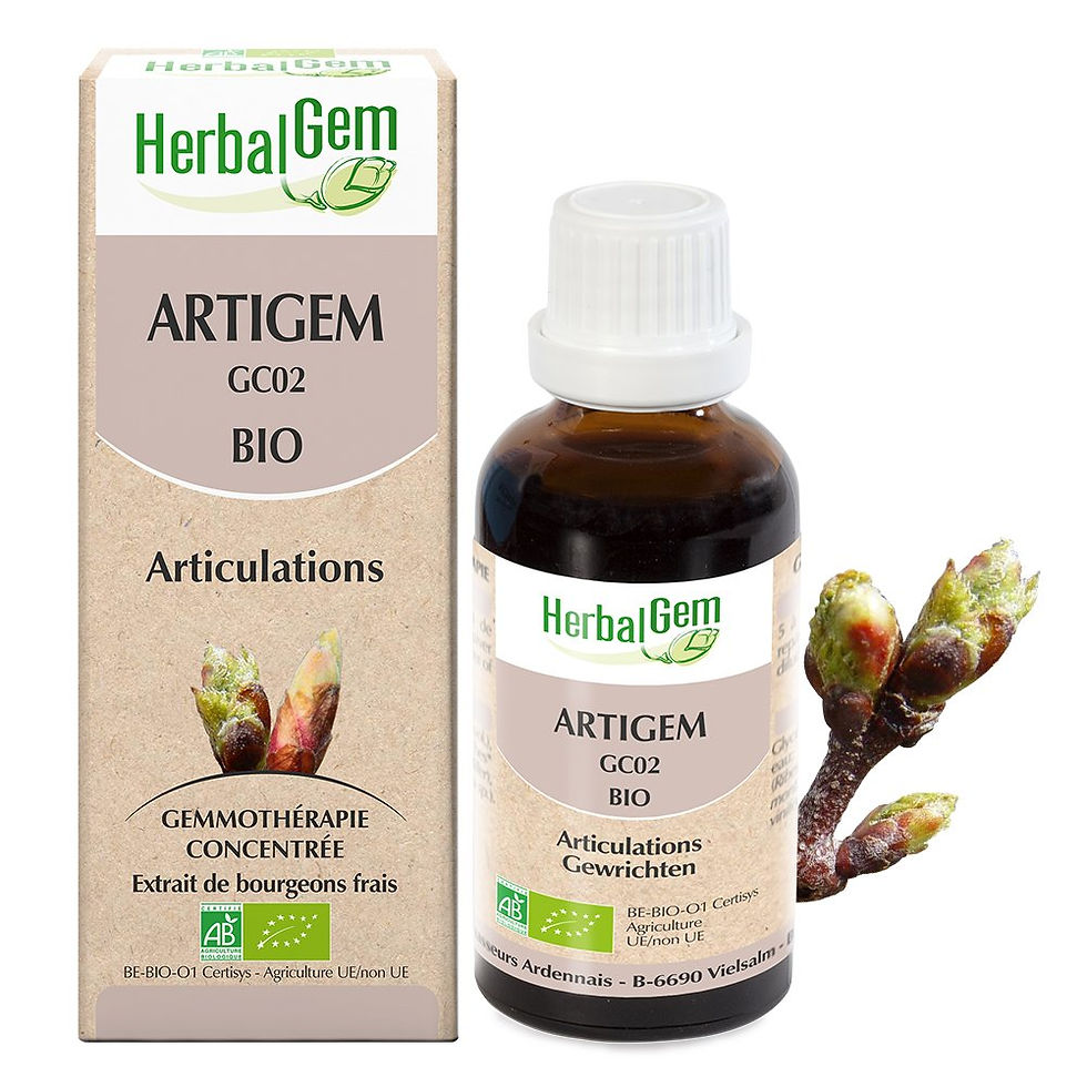 Artigem, articulation
