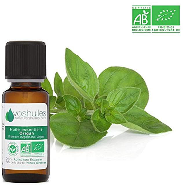 Huile essentielle Origan