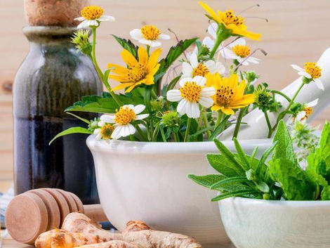 Liste des symptômes et phytothérapie