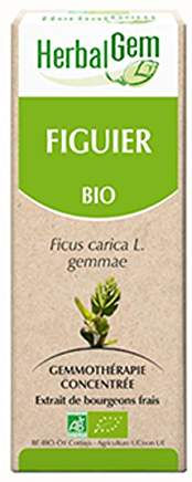 bourgeon de figuier herbalgem sur naturhome.biz
