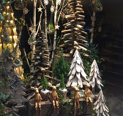 vitrine fleuriste noel oloron