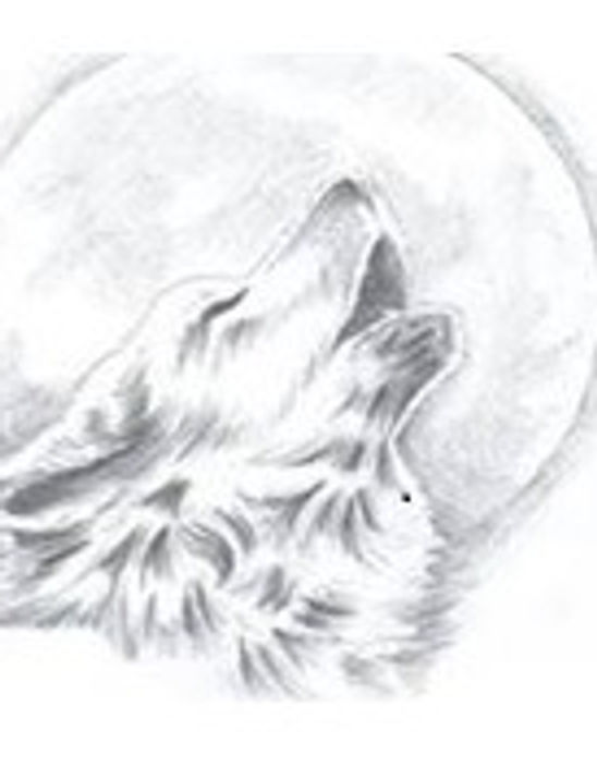FacebookWolf1_edited.jpg