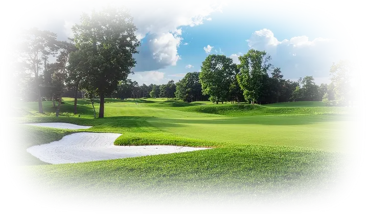 レイヤー 953 のコピー (1).webp.webp