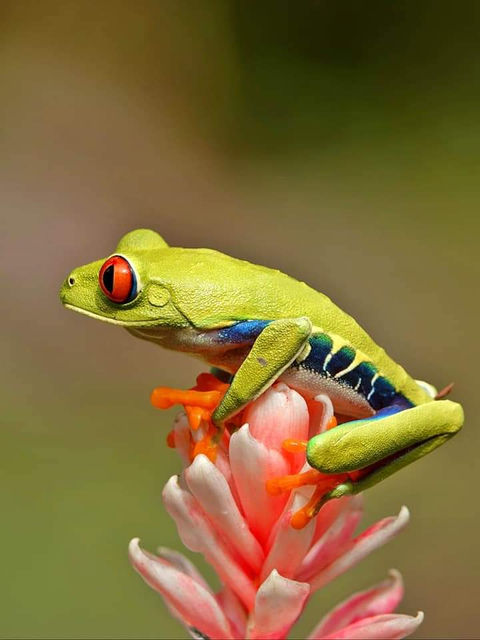 WhatsApp Image 2022-09-23 at 3.09.28 PM (2).jpeg