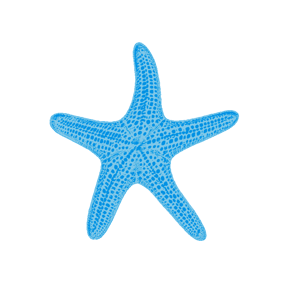 starfish-20931.gif