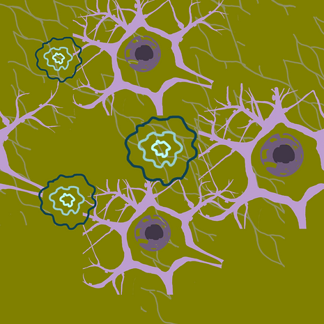 Untitled_Artwork 9.png