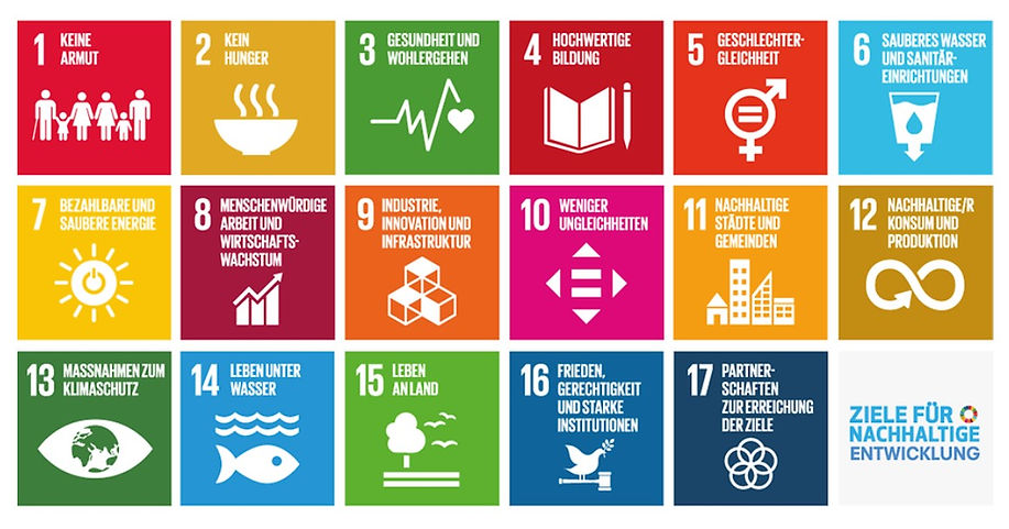 17 sustainability goals
