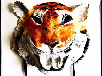 The Tiger & The Guru