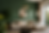 ChatGPT Image Jul 5, 2026, 12_16_57 AM.png