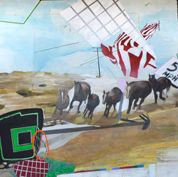 Miscalibration: nation state