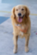 WhatsApp Image 2025-12-09 at 10.31.54.jpeg