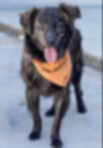 WhatsApp Image 2026-01-14 at 15.40.07.jpeg