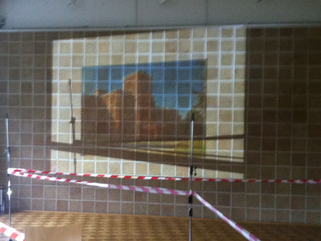 THE BODY AND INSTITUTIONAL VIOLENCE 