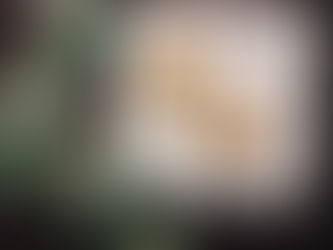 How To Cook The Perfect Chicken Breast