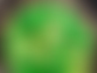 Cheesy Brussel Sprouts