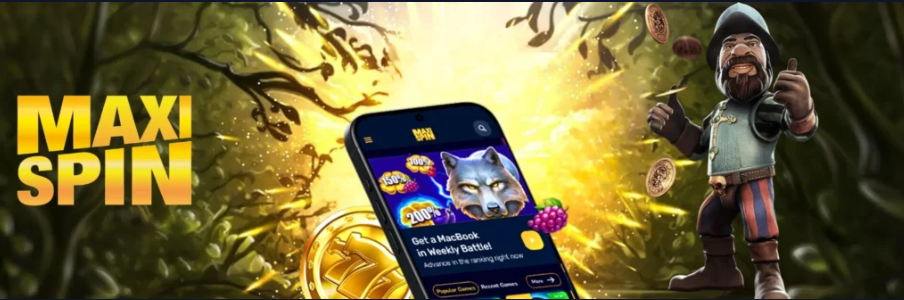 https://maxispincasino.nl/